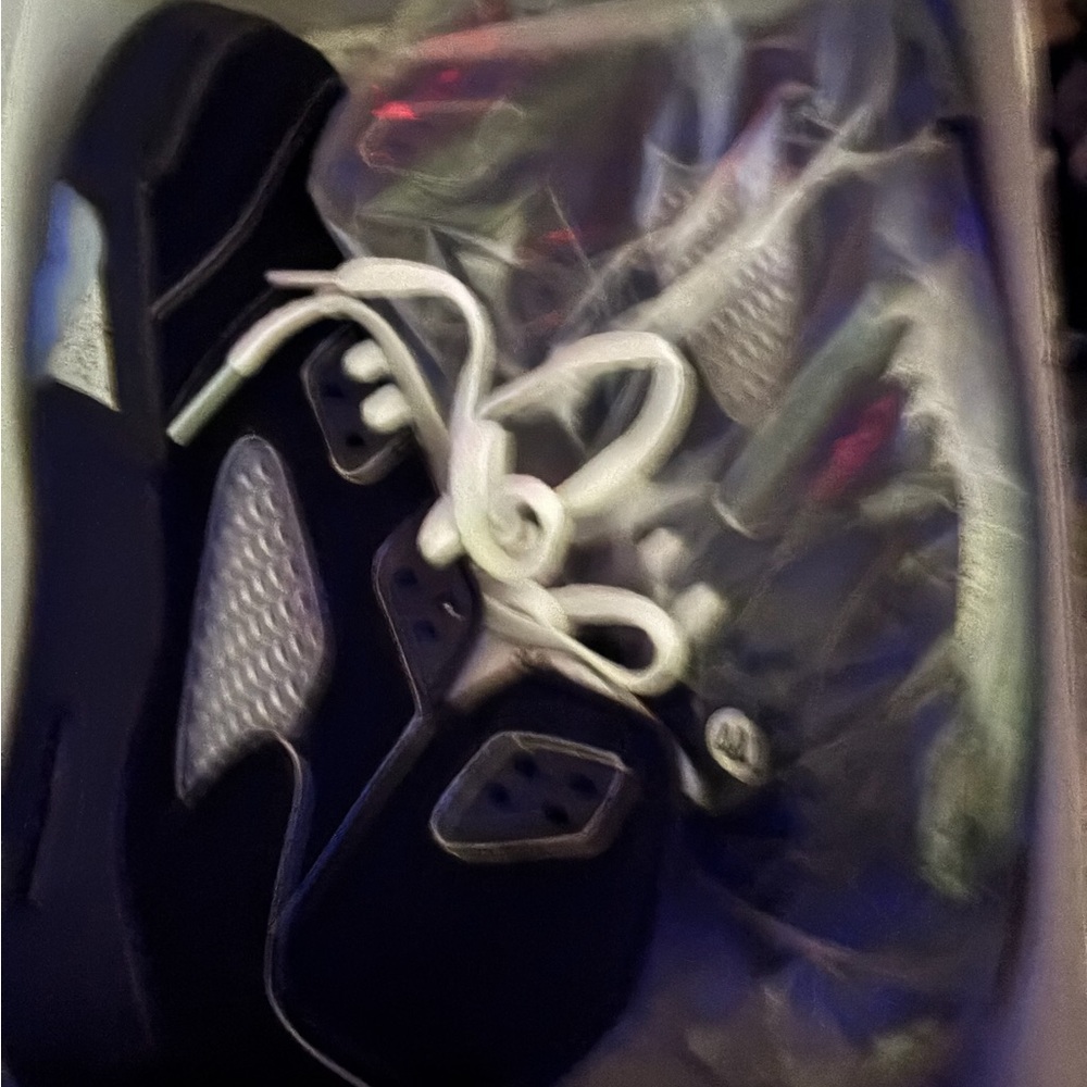 Jordan Black and White Sneakers